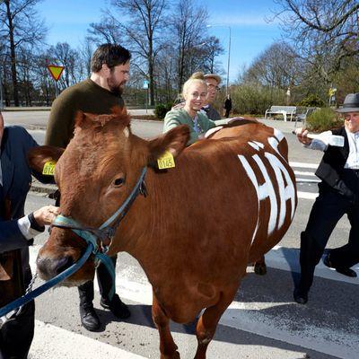 Pressbild utan beskrivning4