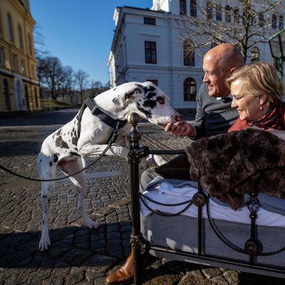 Pressbild utan beskrivning4